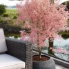 Acer Palmatum 'Taylor' ® - Japanse esdoorn