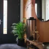 Areca - Goudpalm