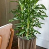 Capi Nature Groove Pot Vaas - Goud