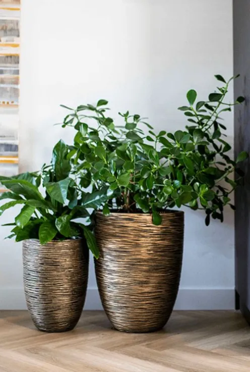 Capi Nature Rib Vaas - Goud