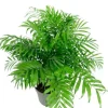 Chamaedorea elegans - Mexicaanse Dwergpalm