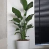 Elho Greenville Pot - wit