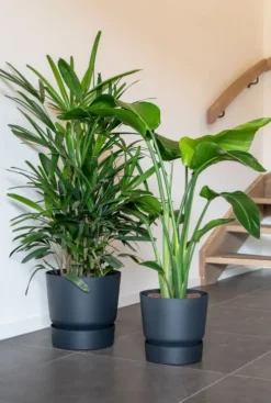 Elho Greenville Pot - zwart