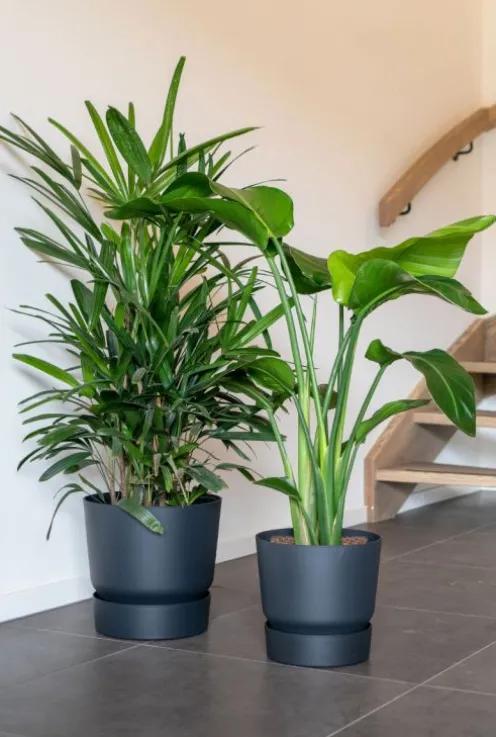 Elho Greenville Pot - zwart