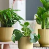 Elho Vibes Fold Pot - geel