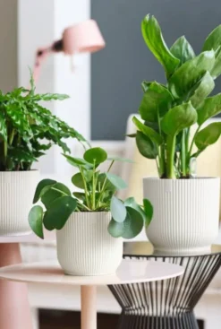 Elho Vibes Fold Pot - wit