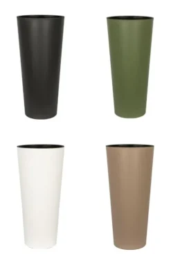 Homalomena in hoge pot
