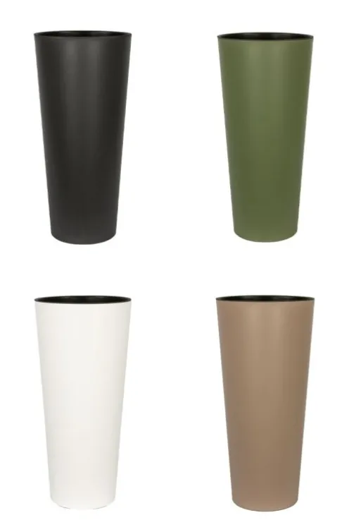 Homalomena in hoge pot