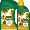 Kamerplant voeding