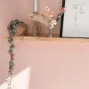 Kokodama Ceropegia Woodii - Chinees lantaarnplantje