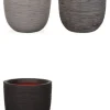 Lyrata in Capi pot