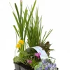 MIX Bloeiende Vijverplanten