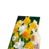 Narcis grote bloemen mix - 15 bollen