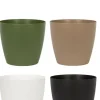 Philodendron planten mix