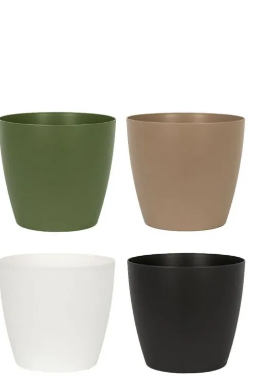 Planten groen en wit