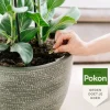 Pokon Bio Kuur - Weerbare en Gezonde Kamerplanten Capsules