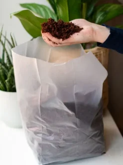 Potgrond compact 10L