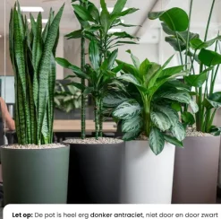 Pot Matt - zwart / antraciet
