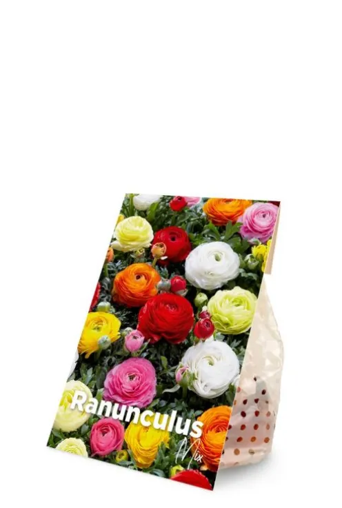 Ranonkel mix - 50 bollen
