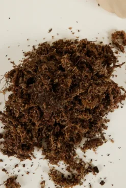 Sphagnum mos 3 liter