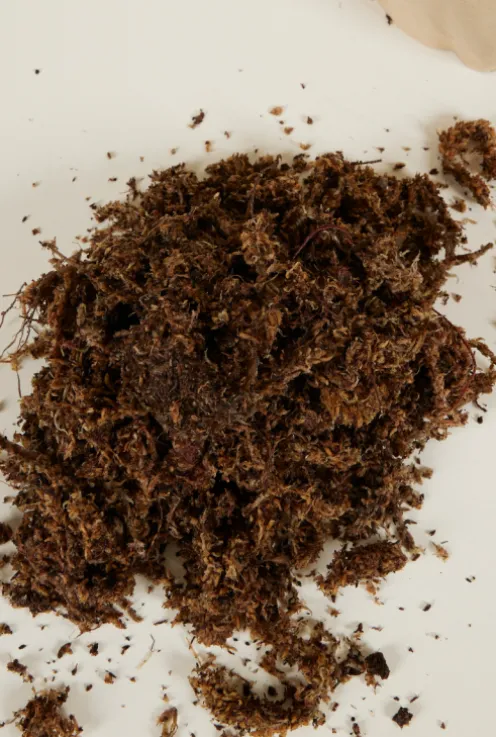 Sphagnum mos 1 liter