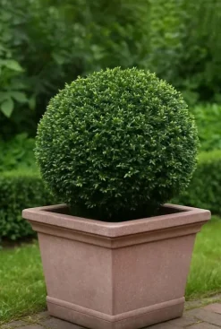 Taxus Collection Ball Ø38cm - Eibe