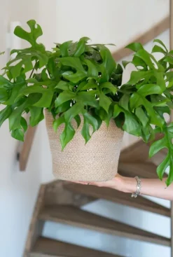 Terima-kasih Jute mand - naturel