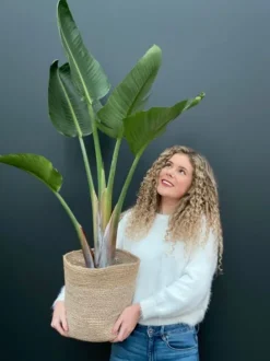 Terima-kasih Jute Mand - naturel