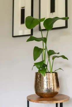 TS Collection Carly Pot - goud