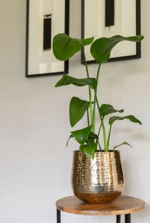 TS Collection Carly Pot - goud