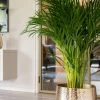 TS Collection Carly Pot - goud