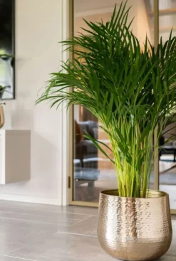 TS Collection Carly Pot - goud