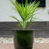 TS Collection Palermo Pot - groen