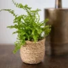 TS Collection Stef Mand - naturel