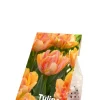 Tulp dubbelbloemig perzik - 20 bollen