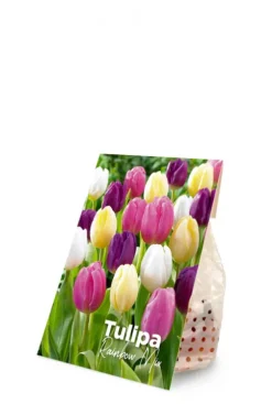 Tulp regenboog mix - 20 bollen