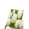 Tulp wit - 20 bollen
