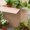 Tweede kans box - 6 stuks - Voordeelbox