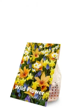 Wilde bloemen mix - 50 bollen