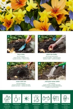 Wilde bloemen mix - 50 bollen