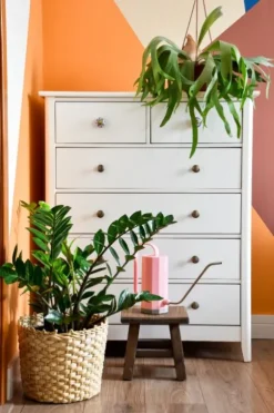 Zamioculcas Zamiifolia - ZZ-plant