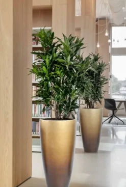 Baq Gradient Partner Vaas - goud